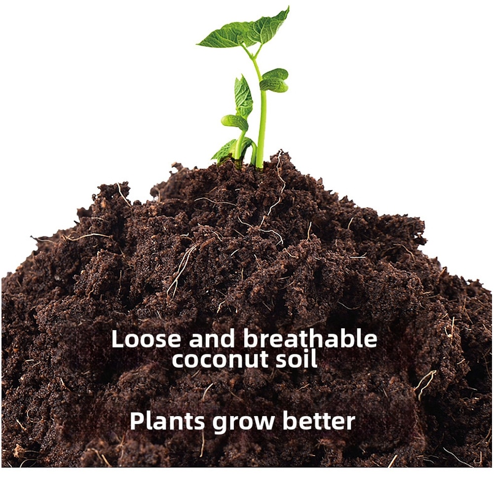 Substrate Coconut Fiber - 3*3cm Compressed Coir Brick Compressed Plant