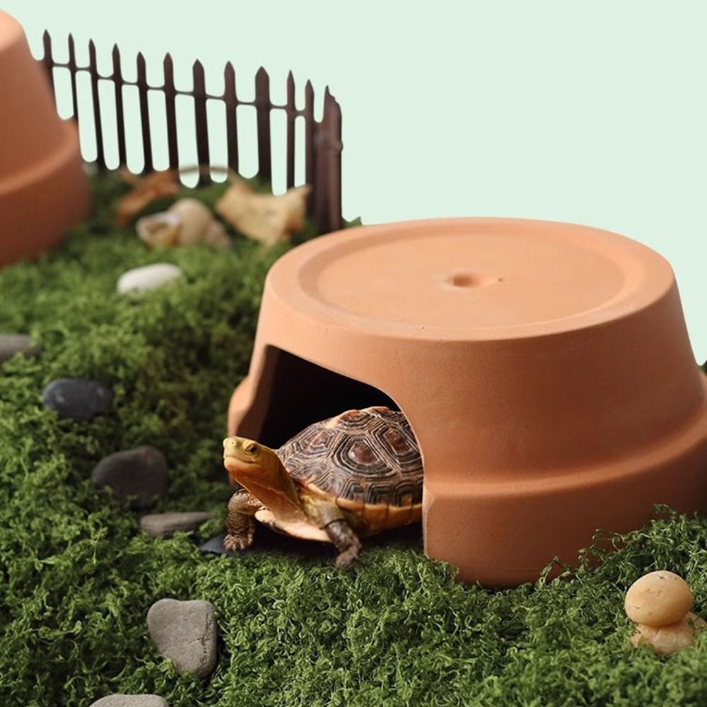 Multifunctional Ceramics Repti - Hide Cave Ceramic reseña y precio
