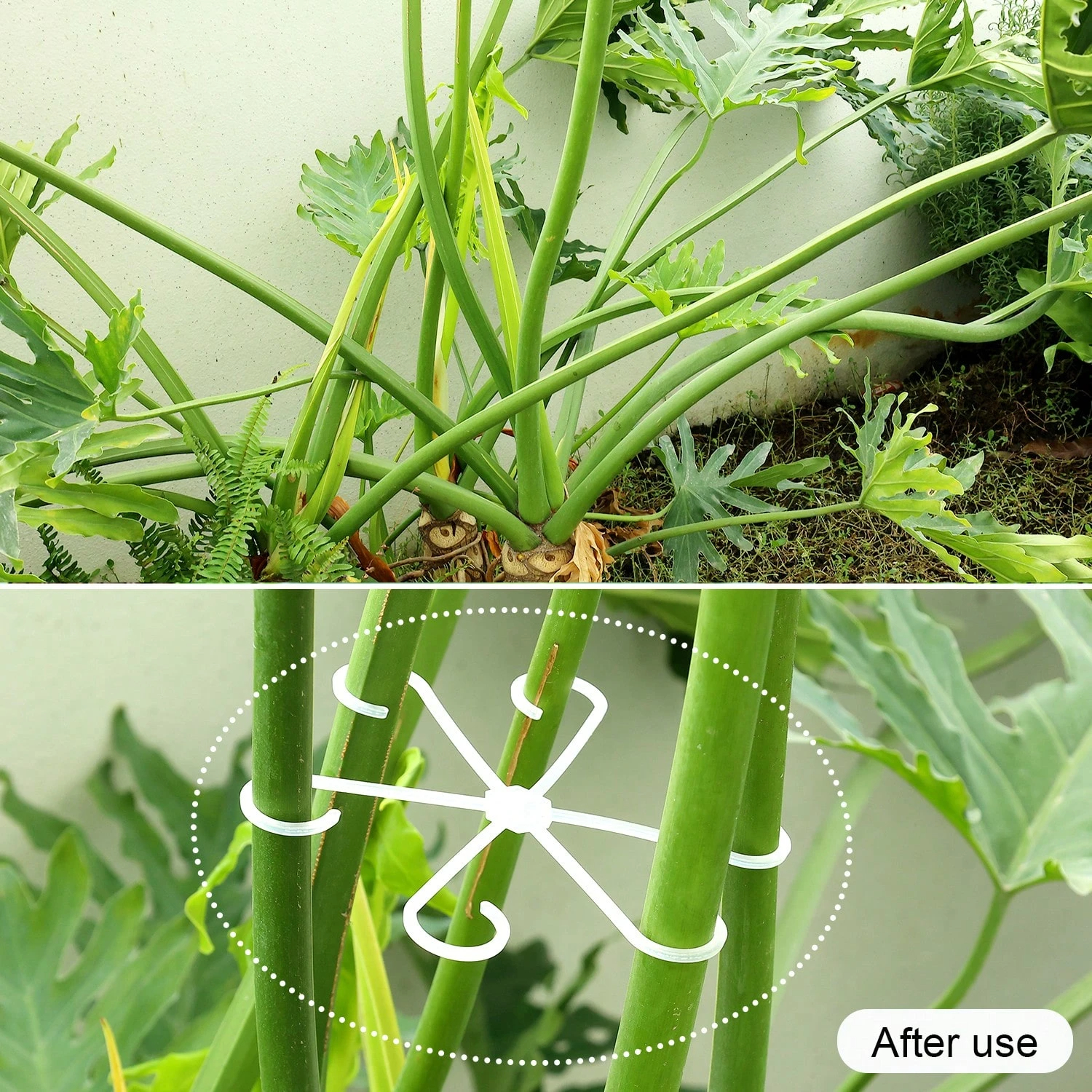 1Pc Plastic Plant Support Clip - Vine Climbing Plastic reseña y precio