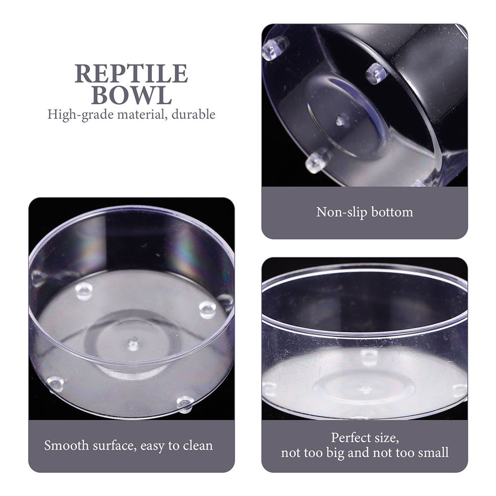 10Pcs Acrylic Reptile Food Wat - Water Dish Reptile reseña y precio