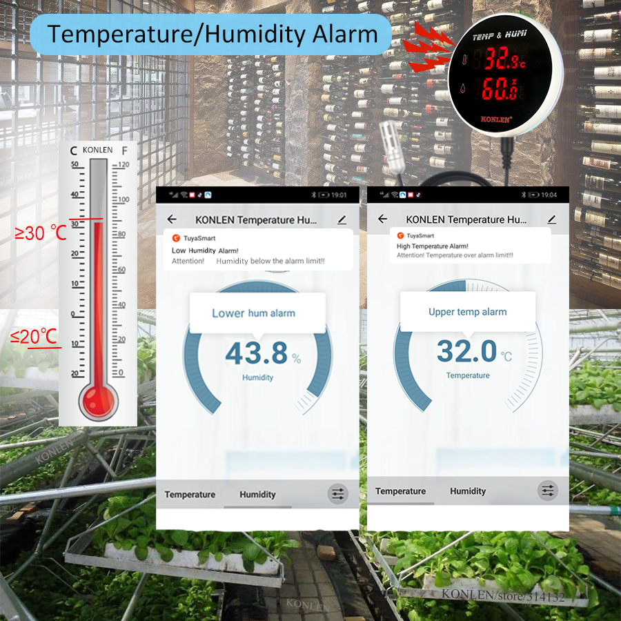 Tuya WIFI Temperature Humidity - Digital Hygrometer Probe reseña y precio