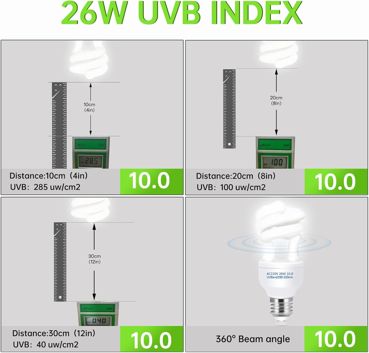 UVB 5.0 10.0 Reptile Heating L - Calcium Powder Reptile reseña y precio