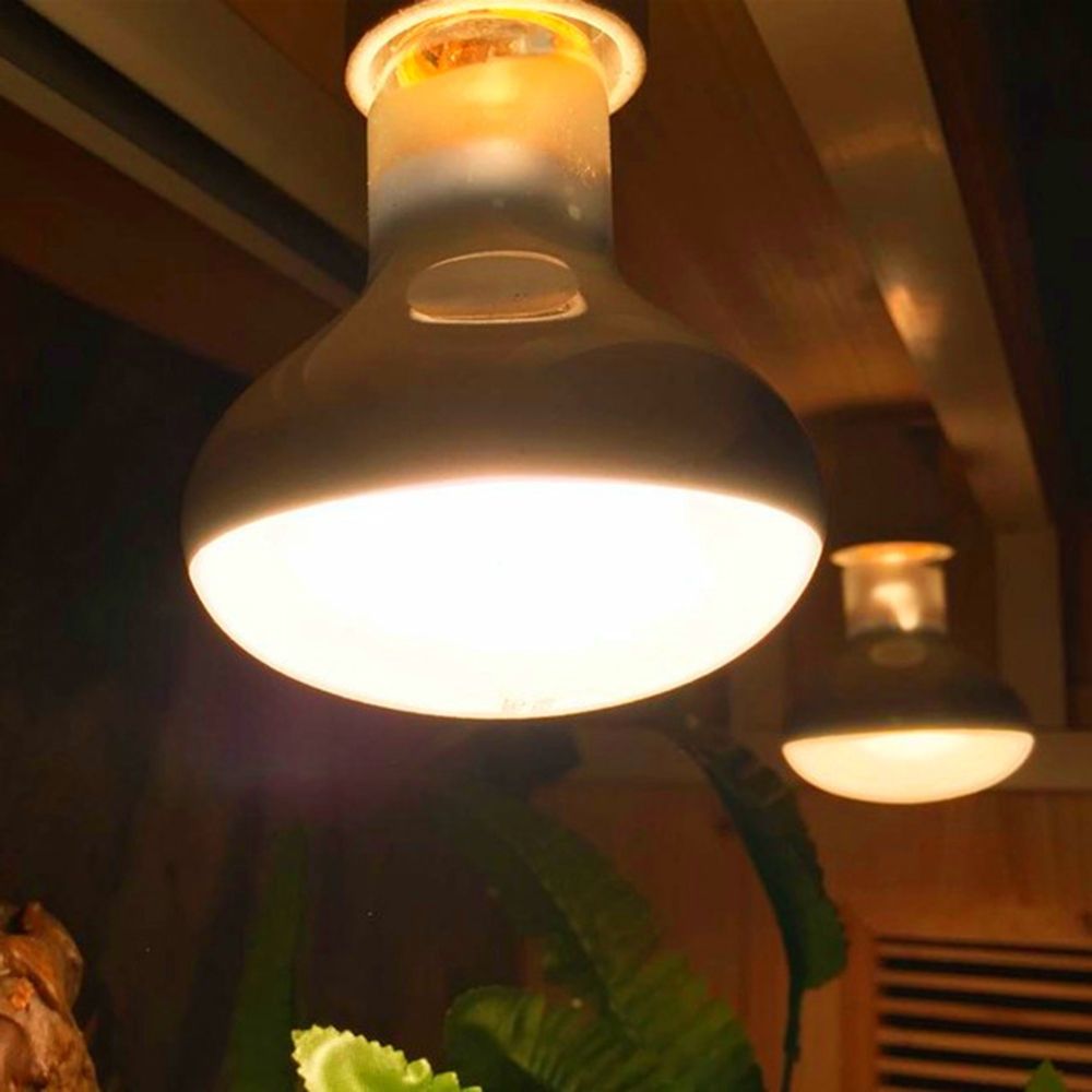 Lizard Heater Temperature Cont - Basking Bulb Halogen reseña y precio