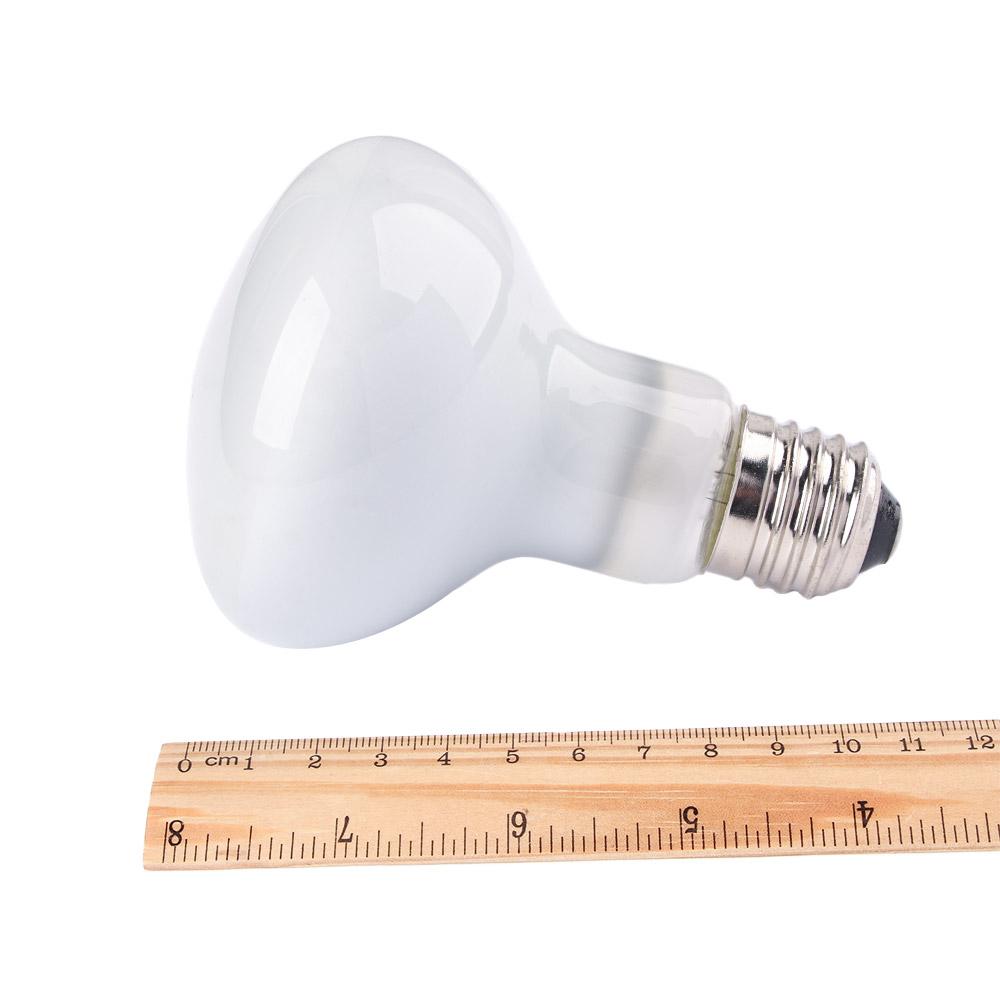 Lizard Heater Temperature Cont - Basking Bulb Halogen reseña y precio