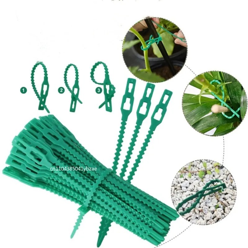 50-1000pcs Adjustable Plastic  - Vine Climbing Plastic reseña y precio