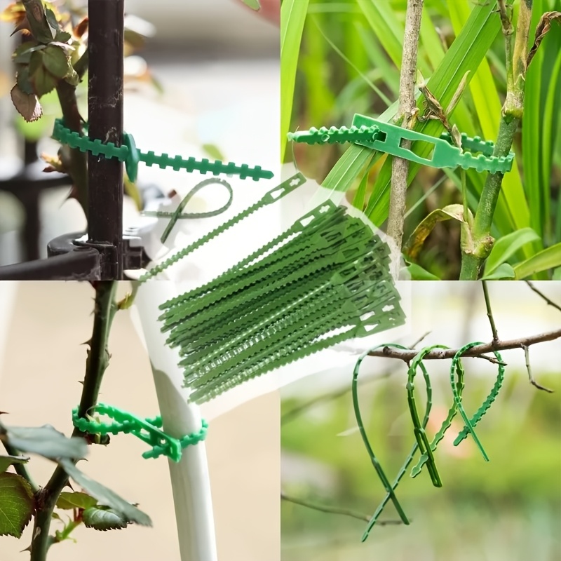 100PCS Reusable Adjustable Pla - Vine Climbing Plastic reseña y precio