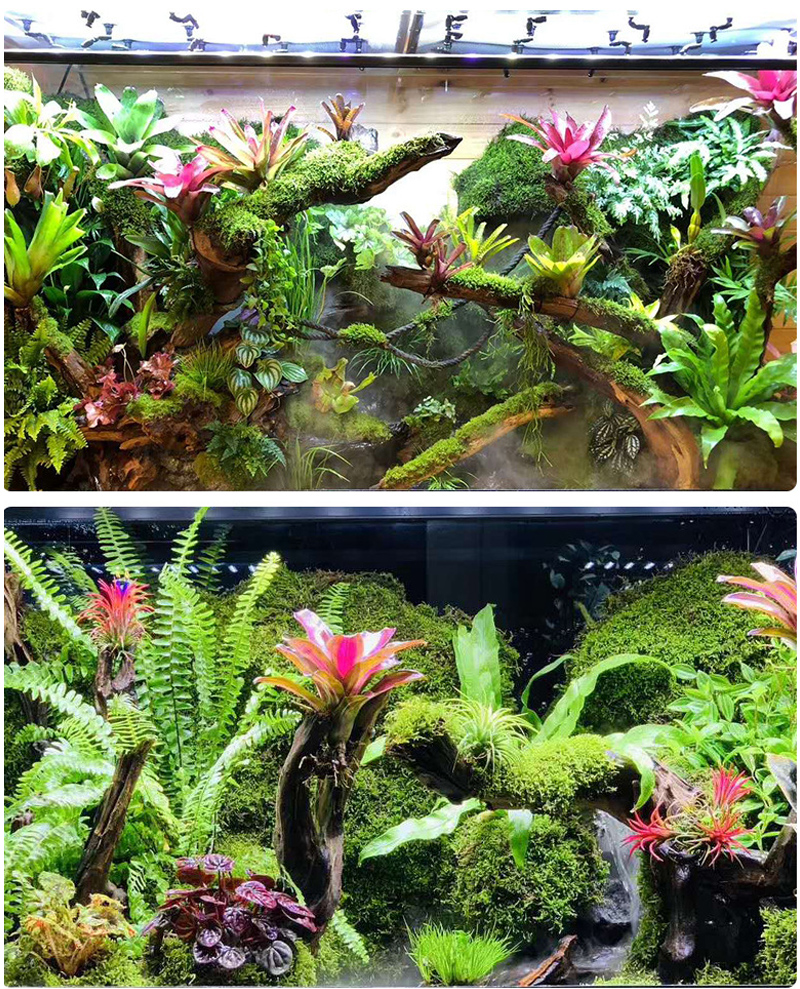 MINI Adjustable Reptile Fogger - Misting Nozzle Reptile reseña y precio