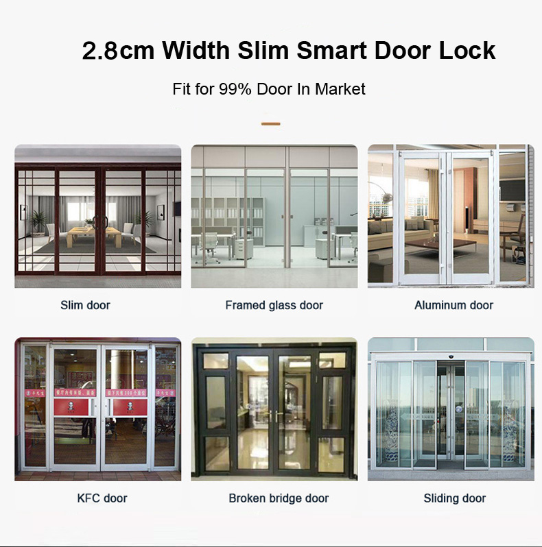 Smart Door Lock With Fingerpri - Glass Door Hinge reseña y precio