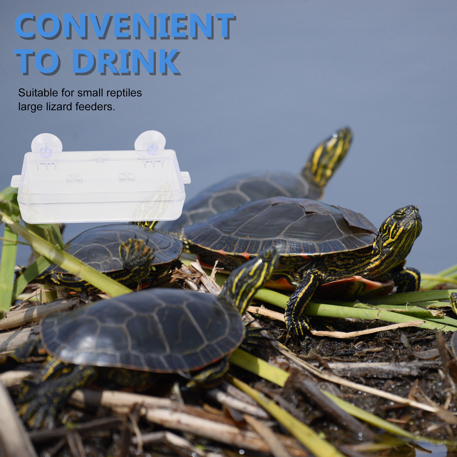 1Pcs Escape Proof Reptile Feed - Water Dish Reptile reseña y precio
