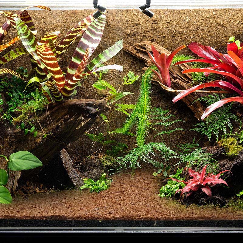 AT21-Natural Coconut Fiber Mat - Substrate Coconut Fiber reseña y precio