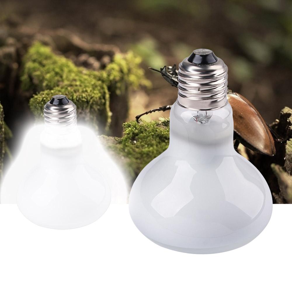 Turtle Heater Heat Lamp Reptil - Basking Bulb Halogen reseña y precio