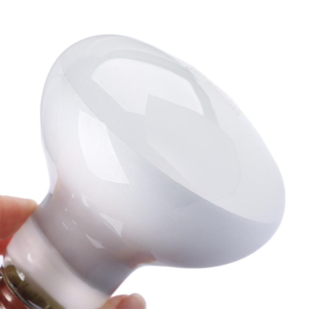 Turtle Heater Heat Lamp Reptil - Basking Bulb Halogen reseña y precio