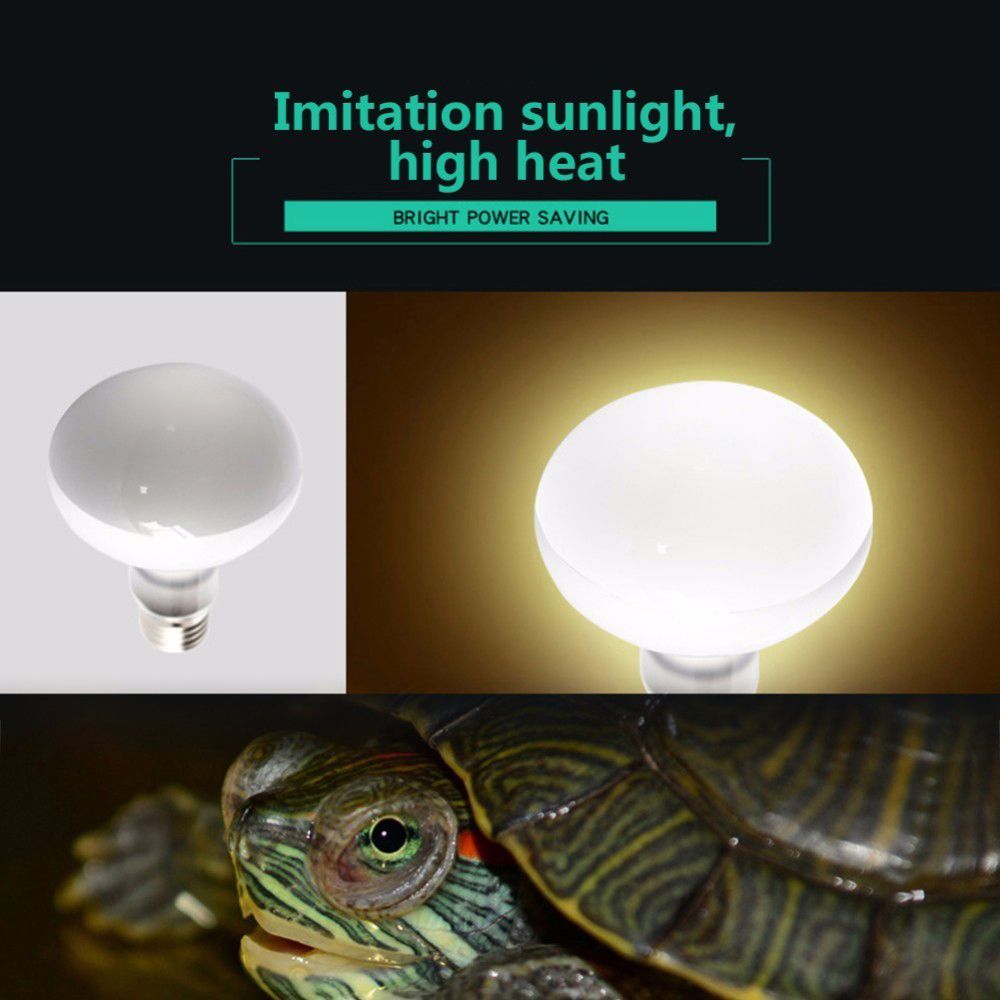 Turtle Heater Temperature Cont - Basking Bulb Halogen reseña y precio