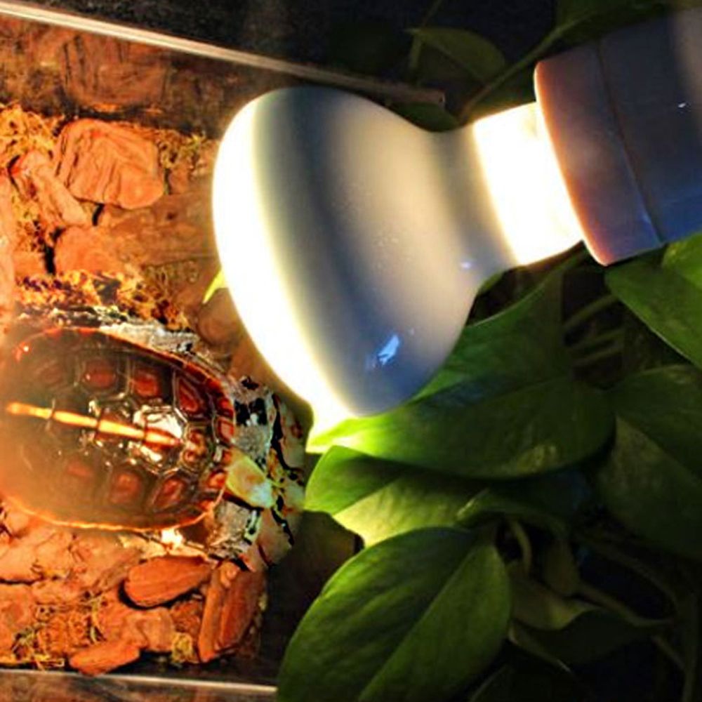 Turtle Heater Temperature Cont - Basking Bulb Halogen reseña y precio