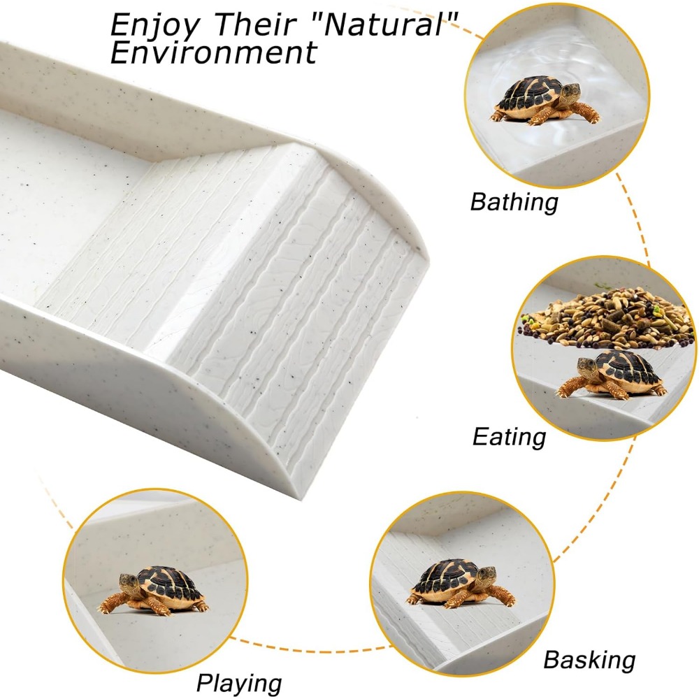 Turtle Bathing Pool Feeding Di - Water Dish Reptile reseña y precio