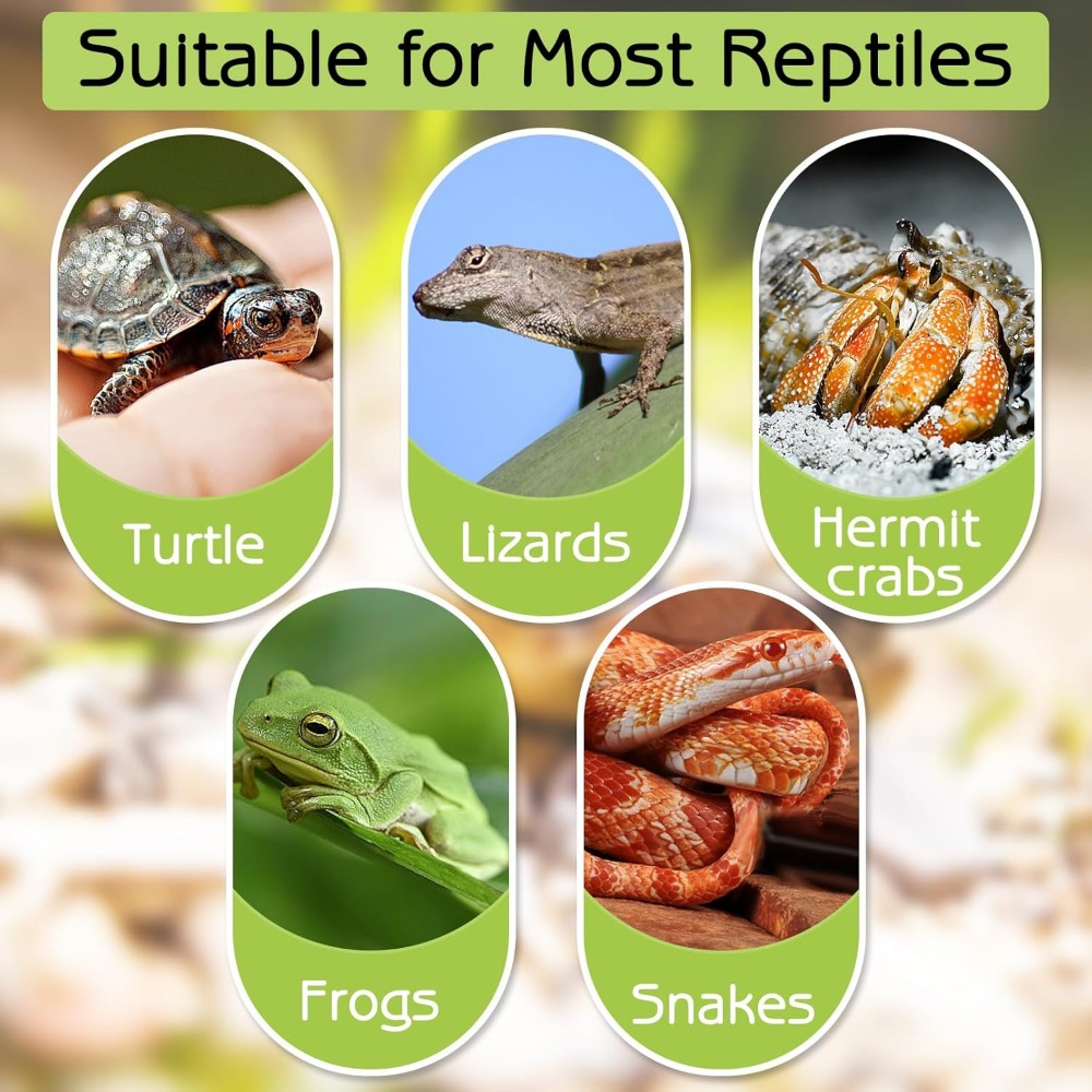 Turtle Bathing Pool Feeding Di - Water Dish Reptile reseña y precio