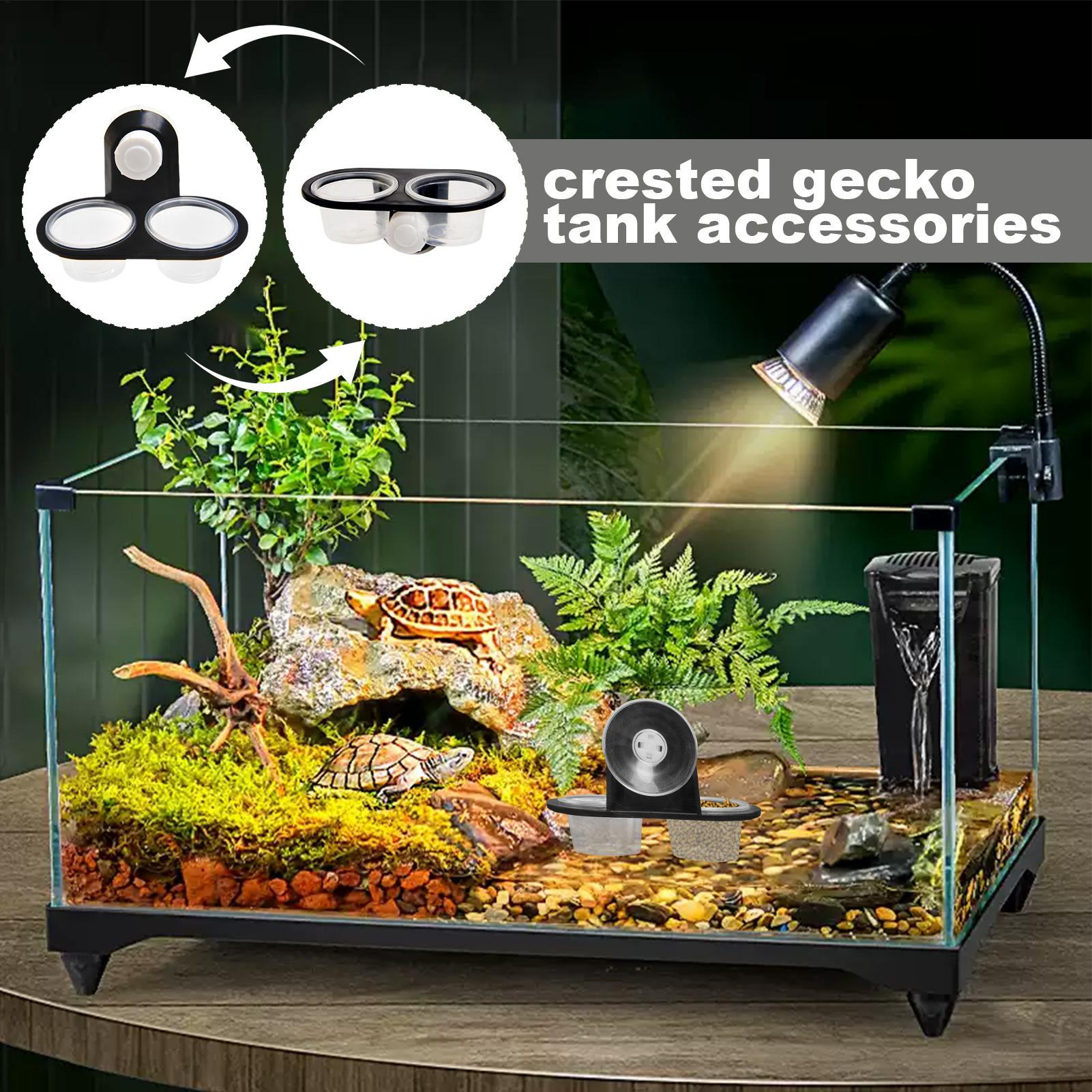 Gecko Feeder Ledge with Detach - Water Dish Reptile reseña y precio