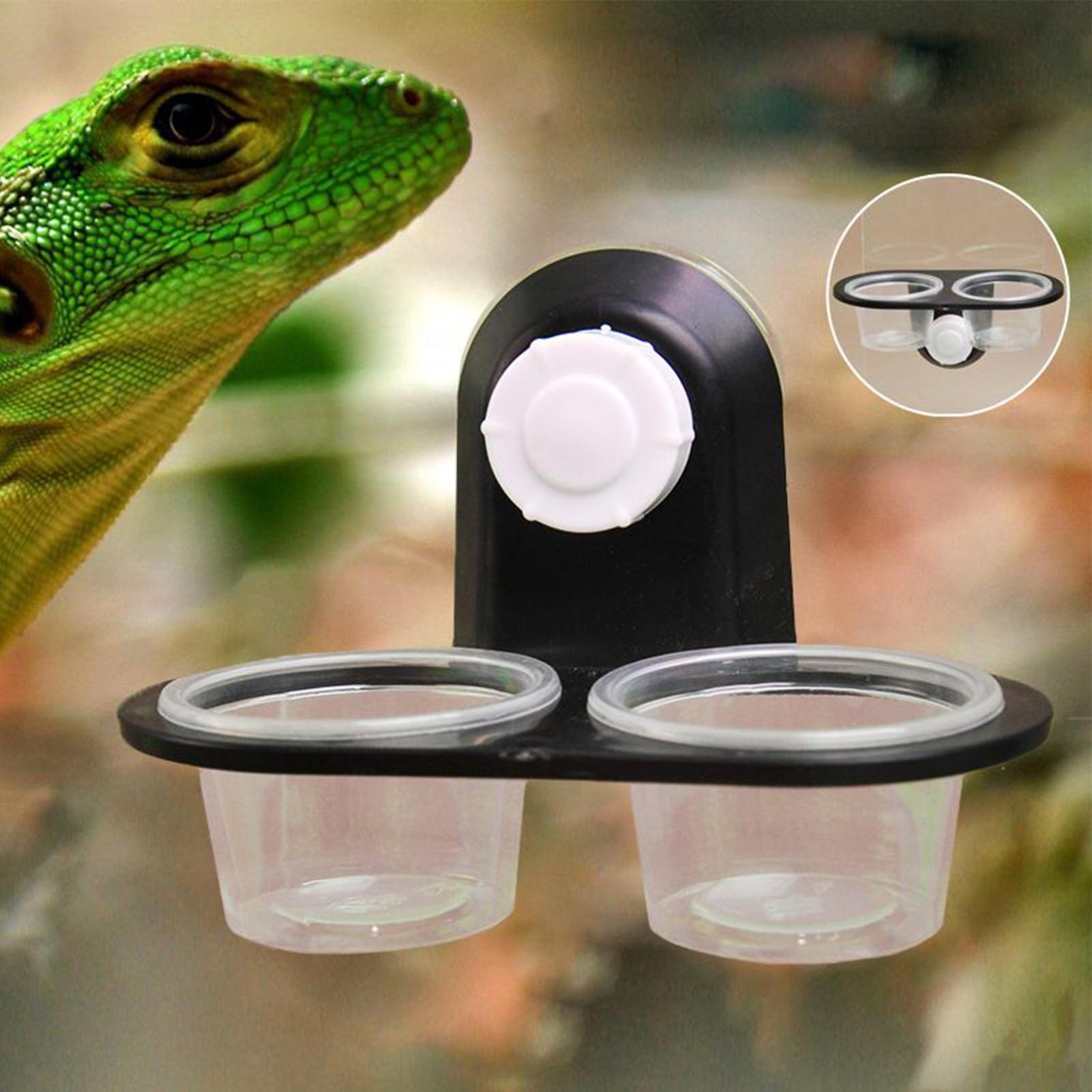 Gecko Feeder Ledge with Detach - Water Dish Reptile reseña y precio