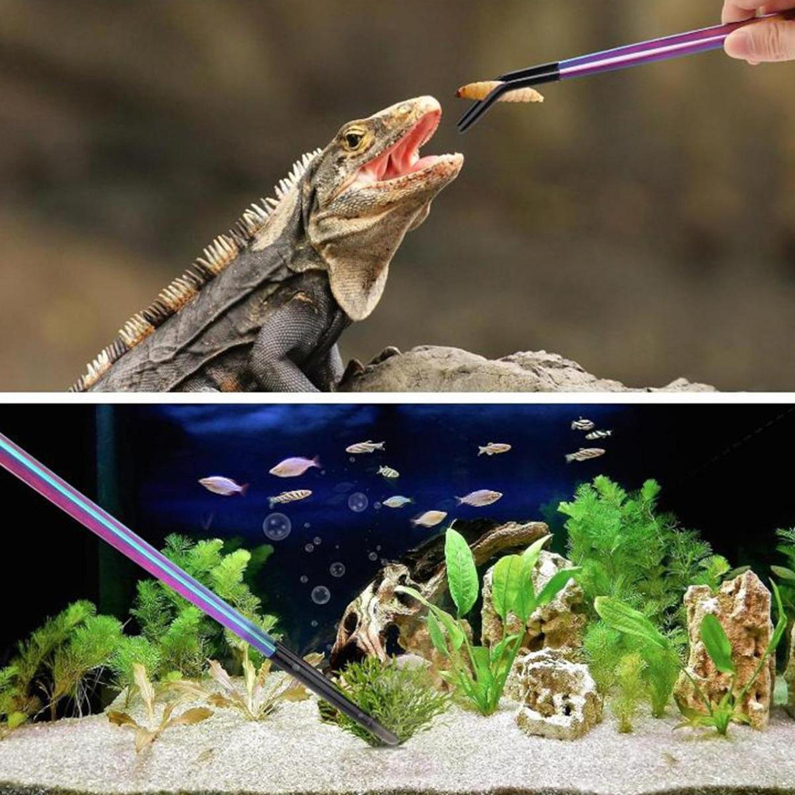 Reptile Feeder Tongs Soft Sili - Feeding Tong Stainless reseña y precio