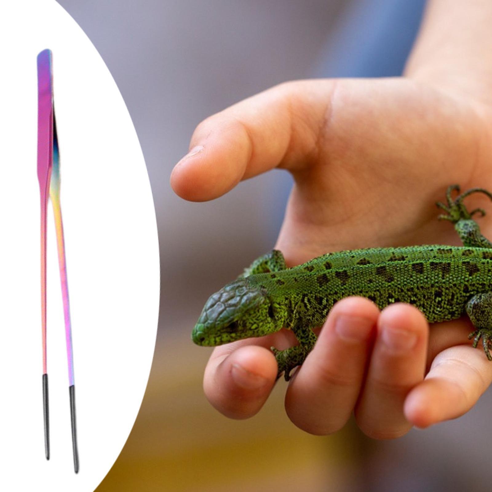 Reptile Feeder Tongs Soft Sili - Feeding Tong Stainless reseña y precio