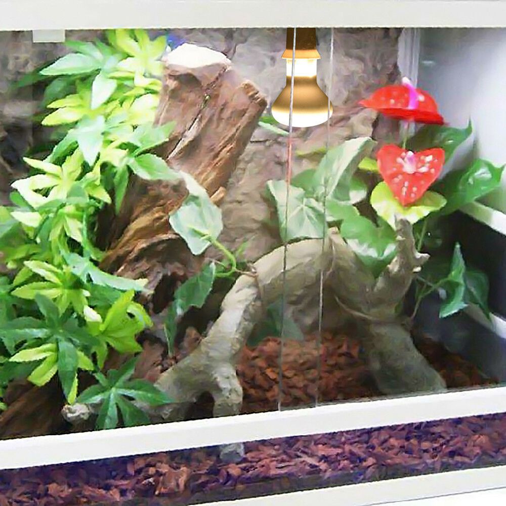 Turtle Temperature Controller  - Basking Bulb Halogen reseña y precio