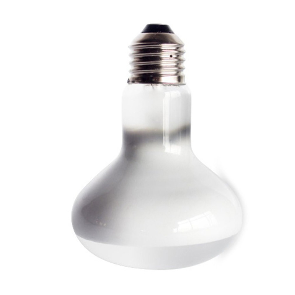 Turtle Temperature Controller  - Basking Bulb Halogen reseña y precio