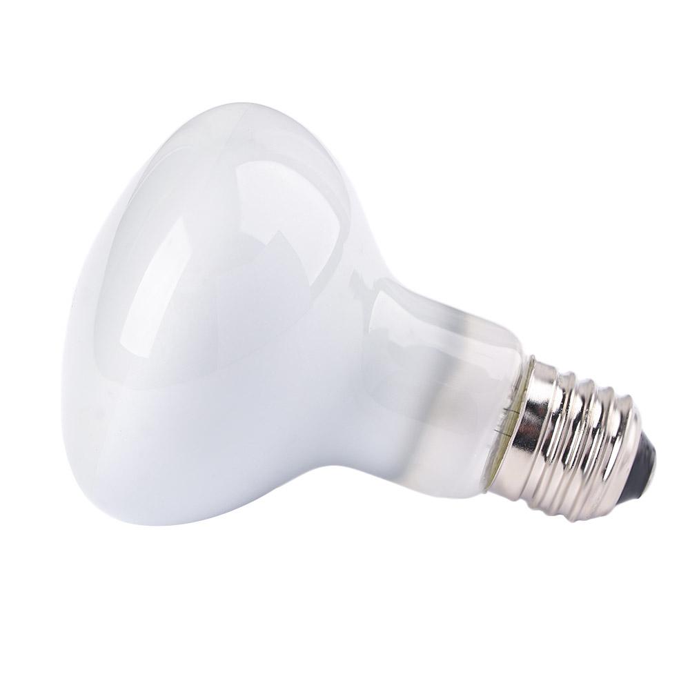 Turtle Temperature Controller  - Basking Bulb Halogen reseña y precio
