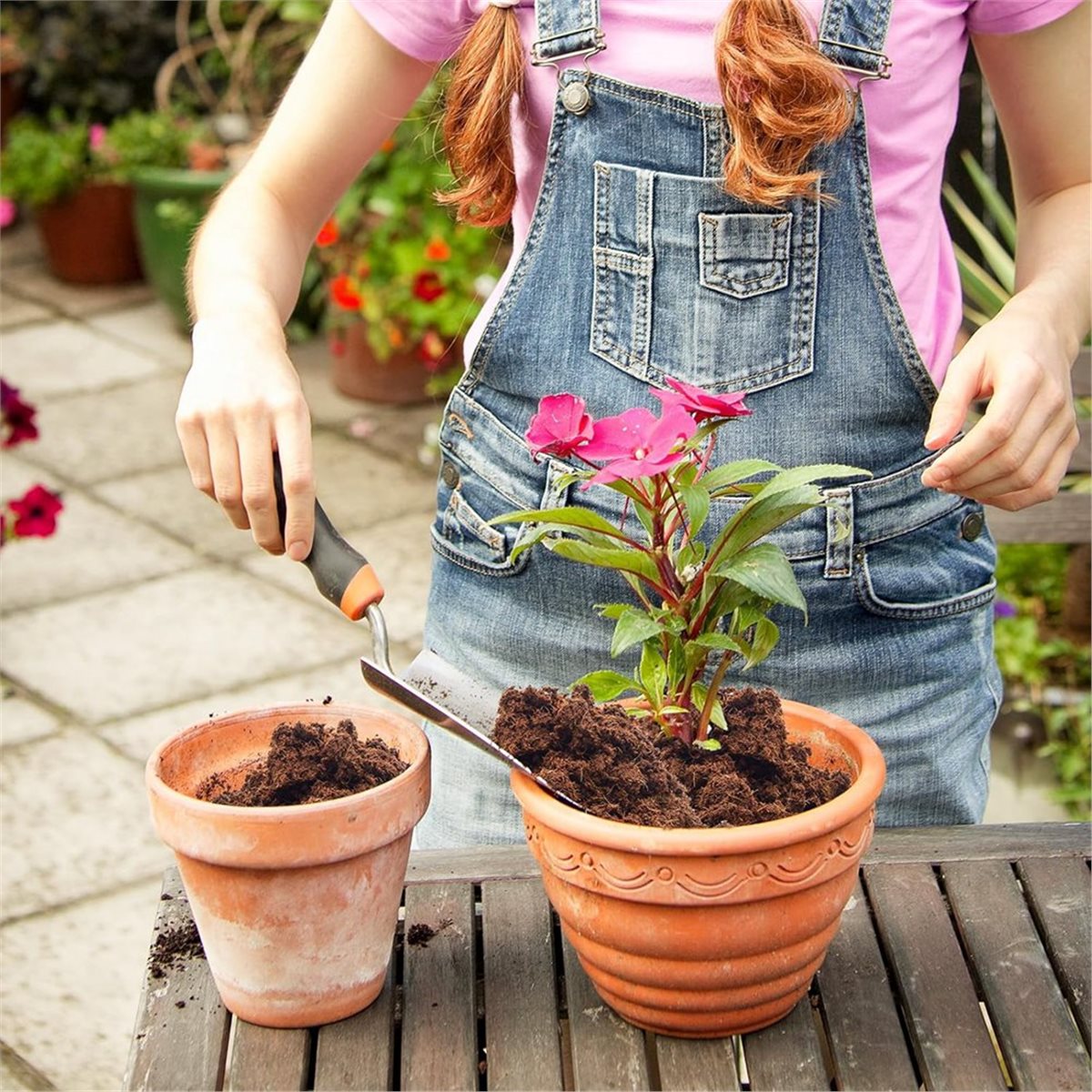 HITL 3 Pack Bricks, for Plants - Substrate Coconut Fiber reseña y precio
