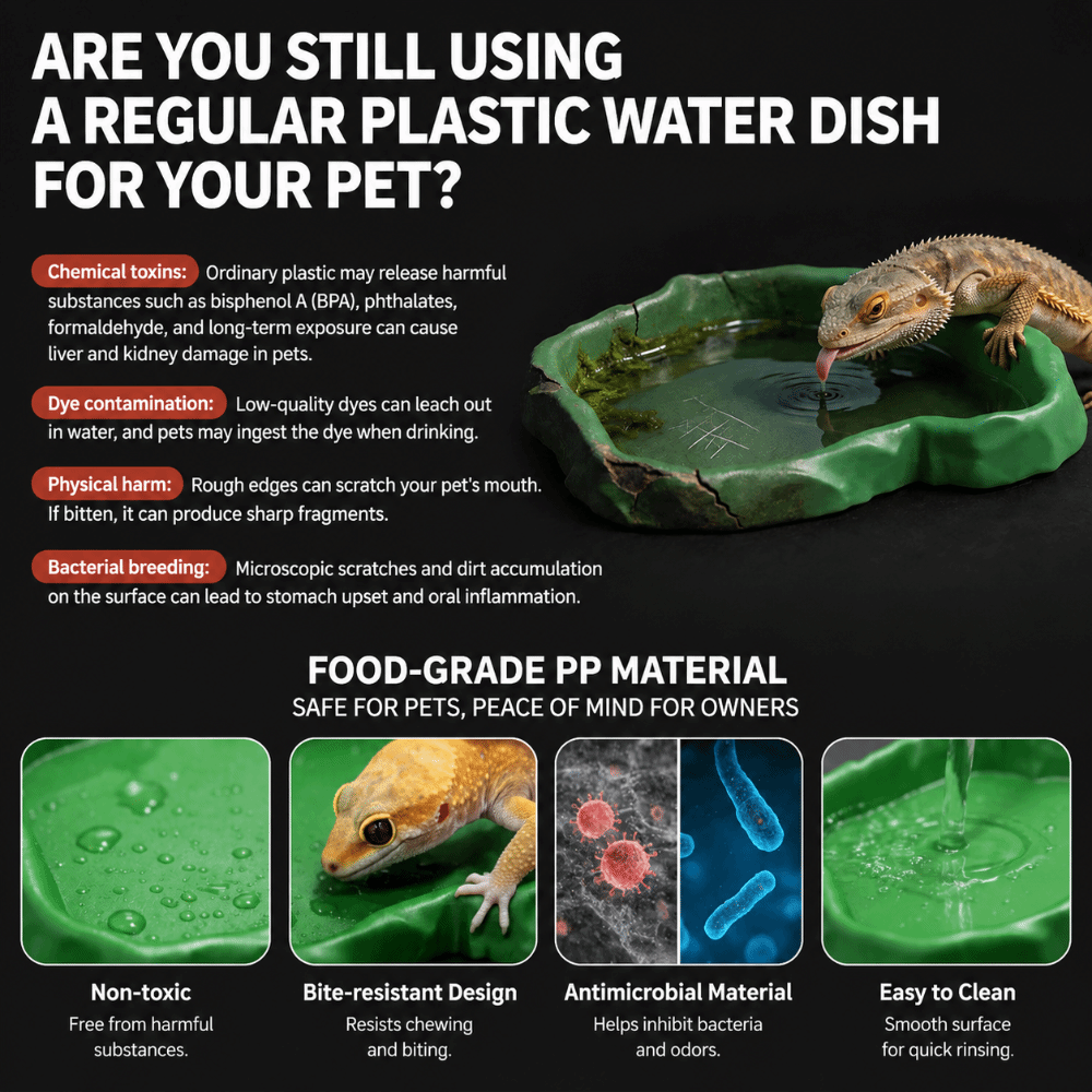 ABS Resin Reptile Feeder Bowl  - Water Dish Reptile reseña y precio