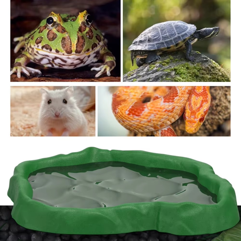 ABS Resin Reptile Feeder Bowl  - Water Dish Reptile reseña y precio