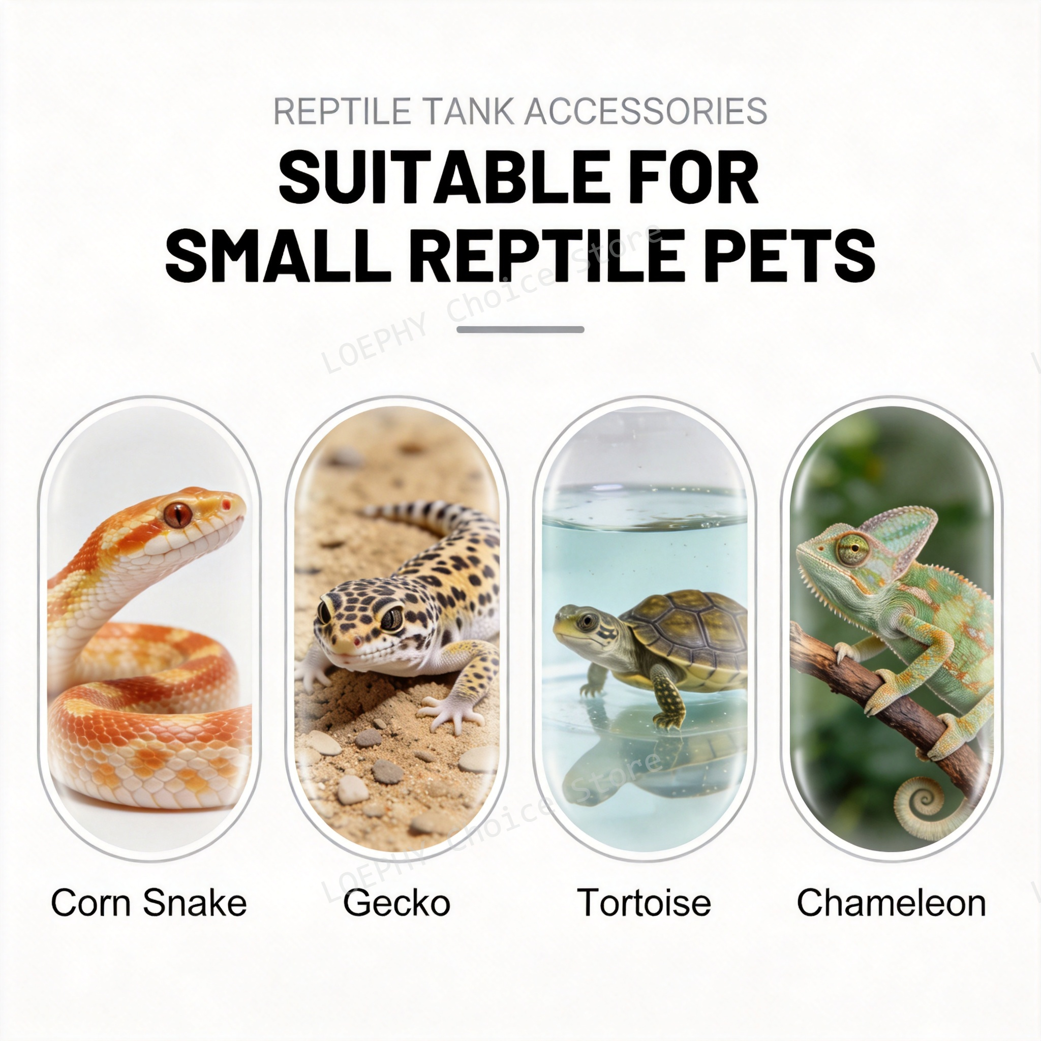 Castle Reptile Water Bowl Lion - Water Dish Reptile reseña y precio