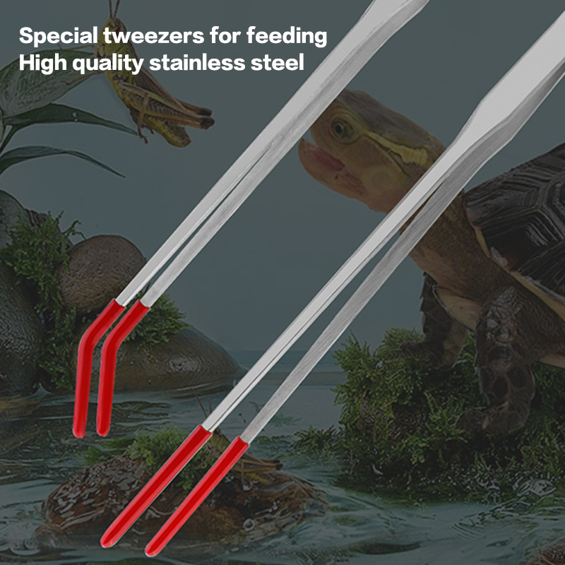 Reptile Feeding Tongs with Rub - Feeding Tong Stainless reseña y precio