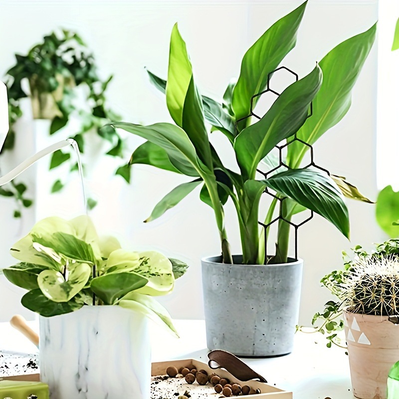 1PC Honeycomb Design Plant Tre - Vine Climbing Plastic reseña y precio