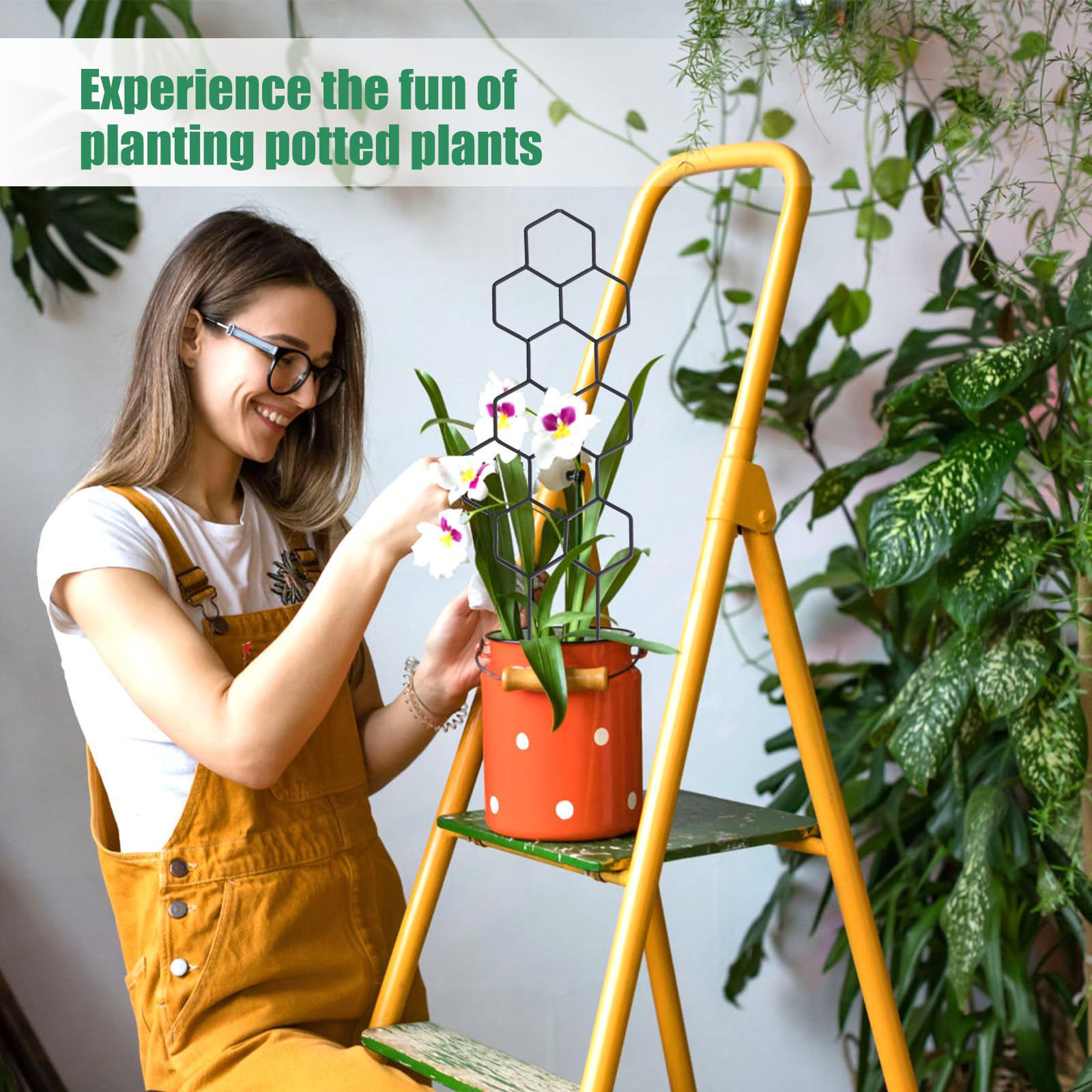 1PC Honeycomb Design Plant Tre - Vine Climbing Plastic reseña y precio