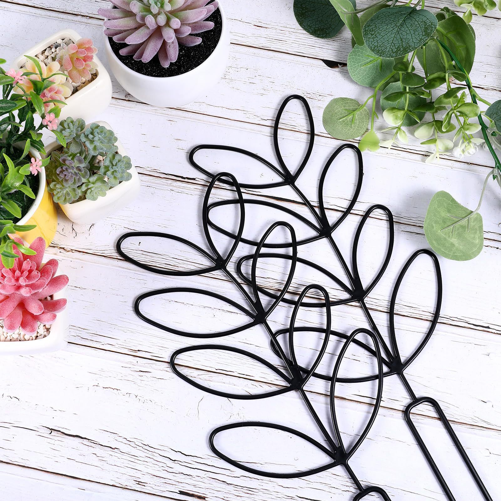 1PC Honeycomb Design Plant Tre - Vine Climbing Plastic reseña y precio