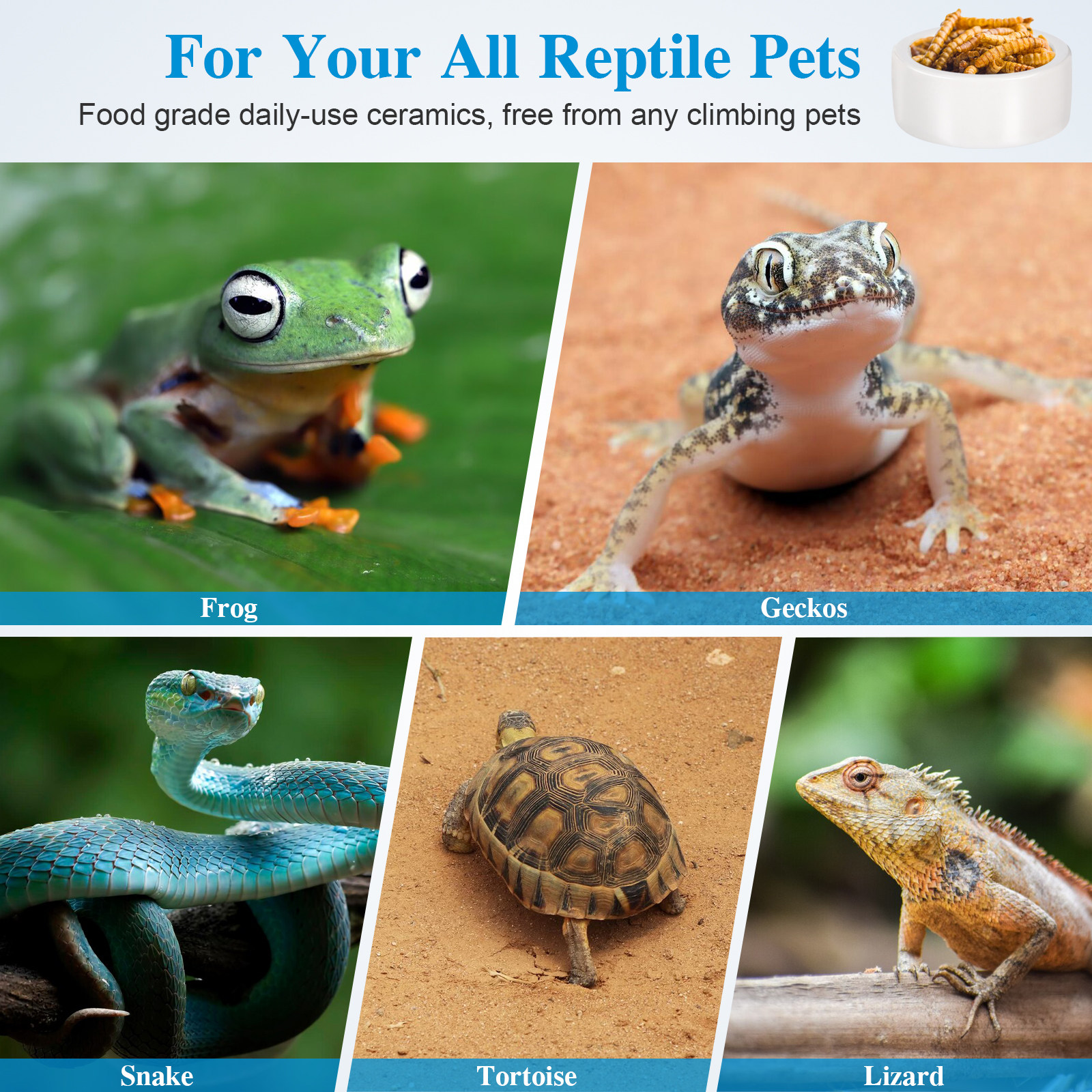 3Pcs Heavy Duty Ceramic Reptil - Water Dish Reptile reseña y precio