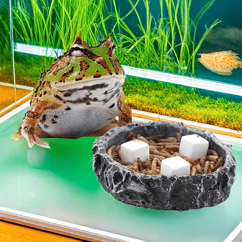 6 Pcs Fish Tank Calcium Block  - Calcium Powder Reptile reseña y precio