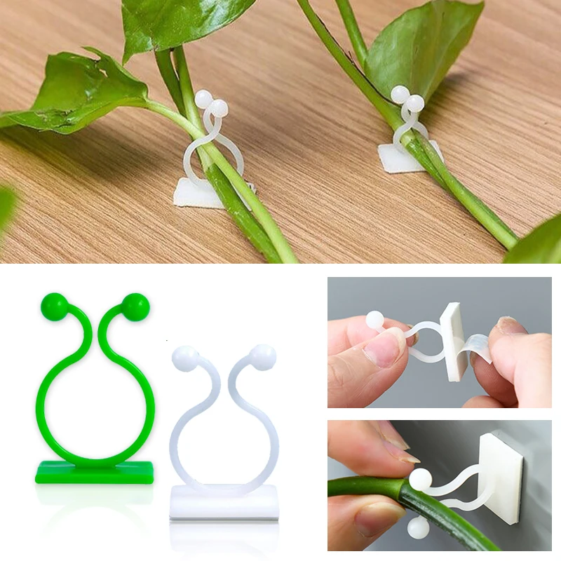Plant Climbing Wall Self-Adhes - Vine Climbing Plastic reseña y precio
