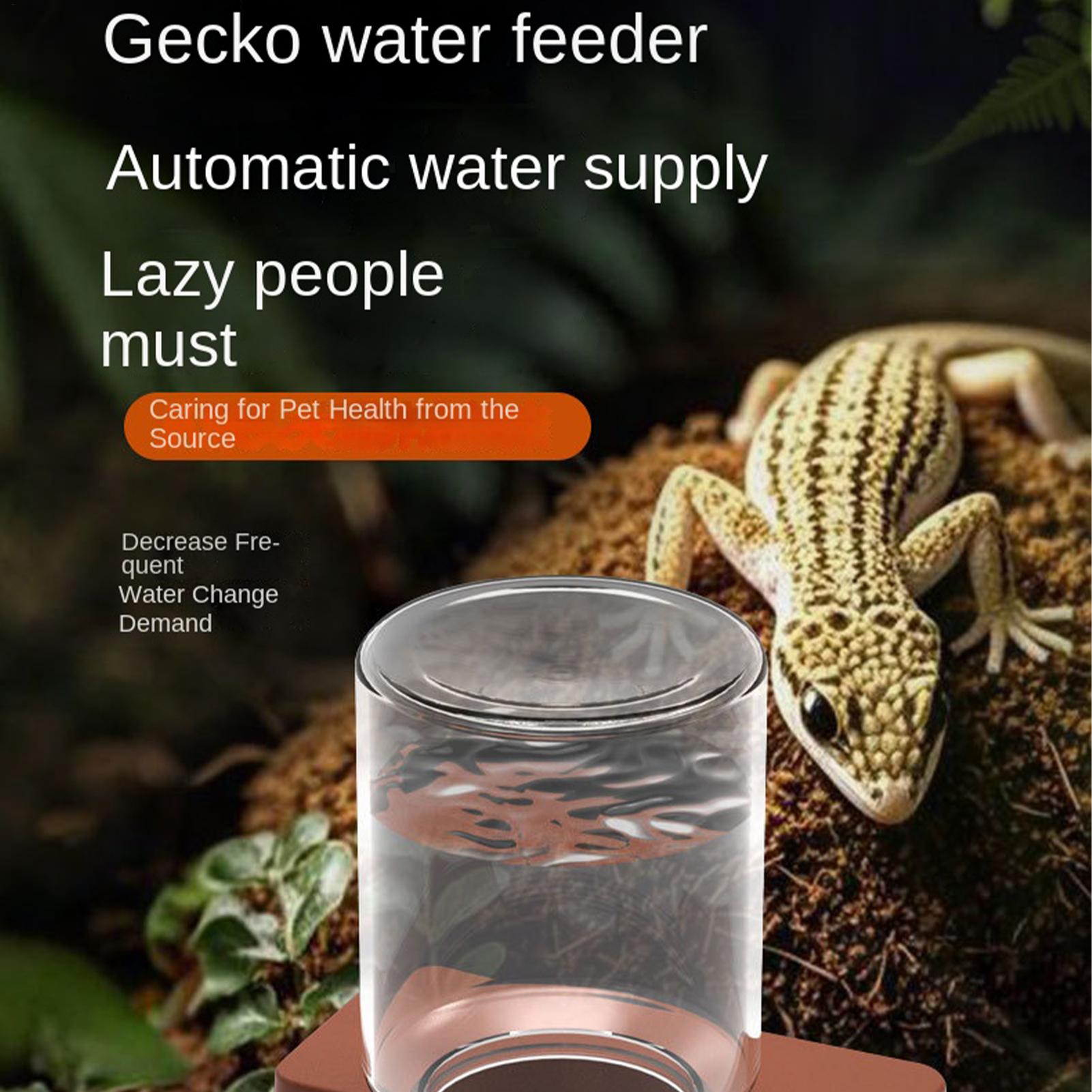 1pc Automatic Reptile Feeder A - Water Dish Reptile reseña y precio
